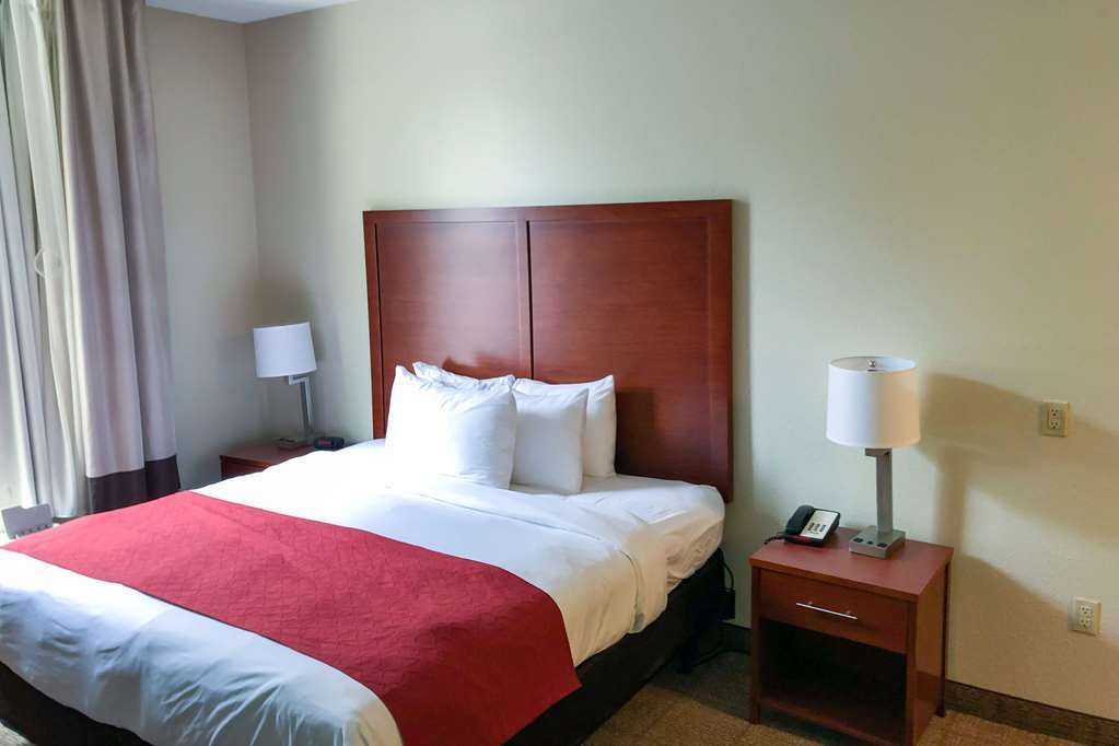 Comfort Inn & Suites Nashville Franklin Cool Springs Rum bild