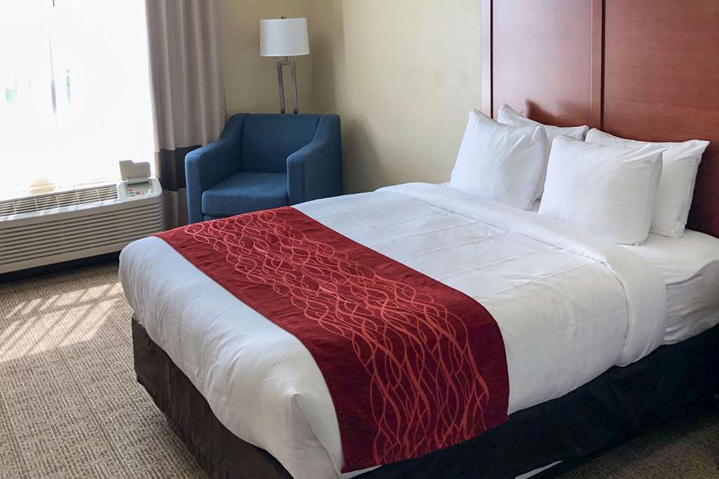 Comfort Inn & Suites Nashville Franklin Cool Springs Rum bild